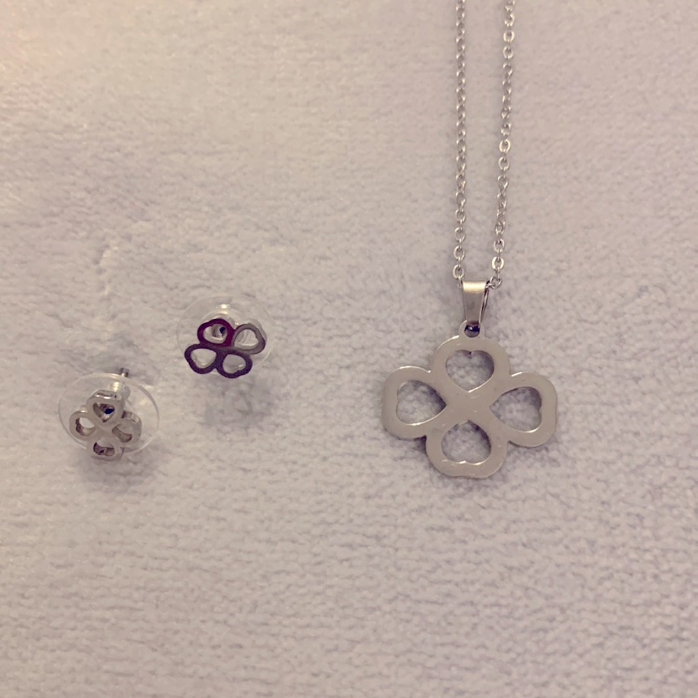 Stainless Steel earrings and necklace set